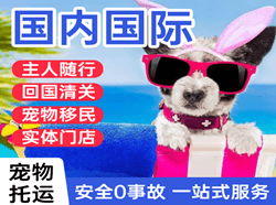 右旗巴丹吉林机场邮寄国际宠物托运 【国